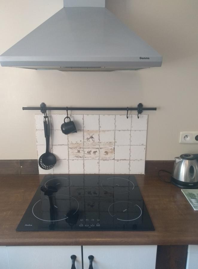Guzowy PiecZa Piecem别墅 外观 照片